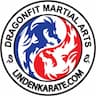 Dragonfit Martial Arts company logo