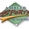 Ambler Sports Academy company logo