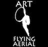 Art Flying Aerial company logo