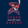 Mudbugs Youth & Adult Hockey company logo