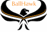 BallHawk Elite Football Training company logo