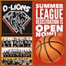 D-Lions Basketball Academy company logo