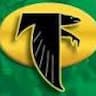 Cicero Falcons Football & Cheerleading company logo