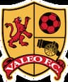 Valeo Futbol Academy company logo