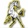 Massapequa Mustangs Youth Football company logo