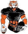 Lynchburg Tigers Youth Sports company logo