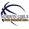 Norwin Girls Youth Basketball Association company logo