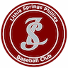 Lithia Springs Phillies Baseball Team company logo