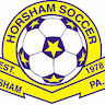 Horsham Soccer company logo