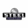 Club Steel Volleyball Inc company logo