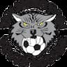 Wilmington Youth Soccer Association company logo