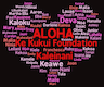 Ke Kukui Foundation company logo