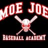 Moe Joe Baseball Academy company logo