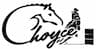 Choyce  LLC company logo