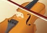 Violins and Guitars by Mitchell company logo