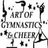 Art of Gymnastics and Cheer company logo