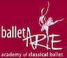 Ballet Arte company logo