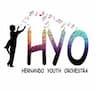 Hernando Youth Orchestra company logo