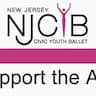 NJCYB company logo