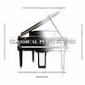 S Windsor Classical Piano Studio, Little Beethovens, LLC company logo