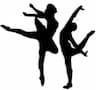 Platinum Dance Academy company logo