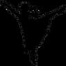 Classical Ballet Arts company logo