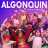 Algonquin Performing Arts Academy company logo