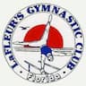 LaFleur's Gymnastics and Little Flipper Swim School company logo