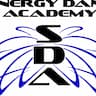 Synergy Dance Academy company logo