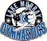 Lake Murray Gymnastics company logo