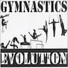 Gymnastics Evolution company logo