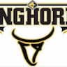 C4 Longhorns company logo