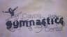 Cayce Gymnastics Center company logo