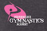 Performance Gymnastics Academy company logo