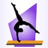 Hudson Gymnastics company logo