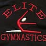 Elite Gymnastics Academy company logo