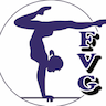 Farmington Valley Gymnastics company logo