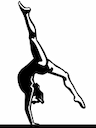 Scarlet Knights Gymnastics Academy company logo