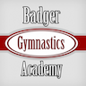 Badger Gymnastics Academy - Oregon company logo