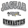 Jaguar Gymnastics company logo