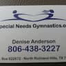 Special Needs Gymnastics company logo