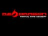 Red Dragon Martial Arts Academy company logo