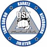 DSK Martial Arts company logo