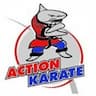 Action Karate Newtown company logo