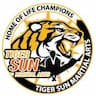Tiger Sun Martial Arts company logo