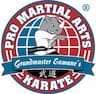 PRO Martial Arts Bryn Mawr company logo