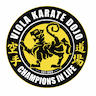 Allegheny Shotokan “Viola” Karate company logo