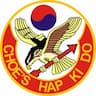 Choe's HapKiDo Martial Arts Academy of Grayson company logo