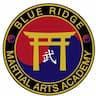 Blue Ridge Martial Arts Academy company logo