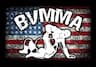 Brazos Valley MMA & Fitness company logo